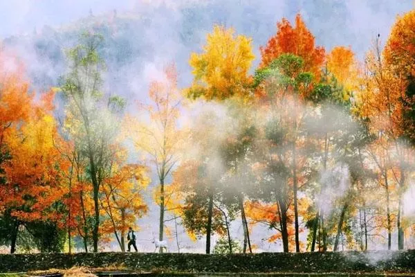 <a href='/nanxijiang/' target=_blank>楠溪江</a>賞楓葉<a href='/jingdiantuijian/' target=_blank>景點(diǎn)推薦</a> 楠溪江賞楓葉景點(diǎn)推薦