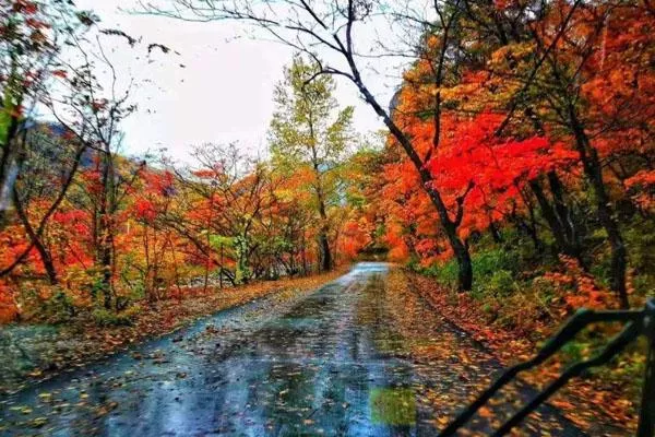 楠溪江賞楓葉景點(diǎn)推薦 楠溪江賞楓葉景點(diǎn)推薦