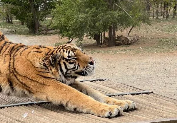 沈陽怪坡風景區(qū)營業(yè)時間 開放了嗎